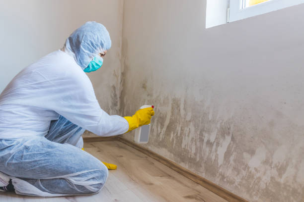 Mold Remediation specialist working in Roselle